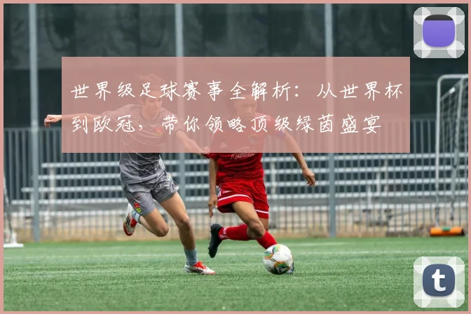 世界级足球赛事全解析:从世界杯到欧冠,带你领略顶级绿茵盛宴